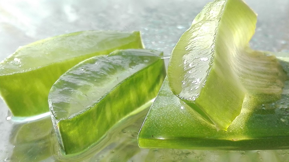 蘆薈美膚騙局？它真實(shí)作用是什么？切勿亂用！
